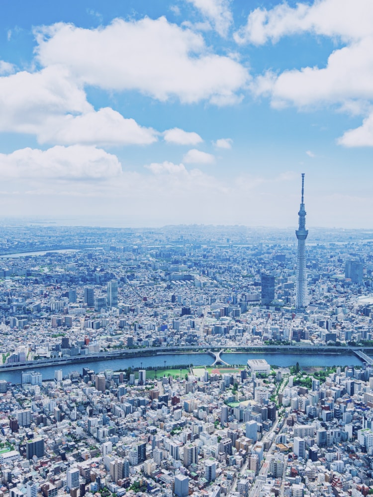 企業理念・行動計画のイメージ